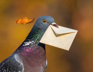 Mehr über den Artikel erfahren LG Frankfurt a.M.: Übersendung einer zeitlich verspäteten Unterlassungserklärung ohne Mitteilung dazu an Abmahnenden per E-Mail für nach übereinstimmender Erledigung des einstweiligen Verfügungsverfahrens in UWG-Sache zur Kostentragung zu Lasten des Abgemahnten